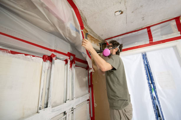 Best Mold-Related Health Consultation  in Lemont Furnace, PA