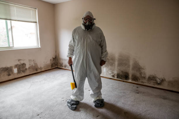 Mold Remediation for Rental Properties in Lemont Furnace, PA